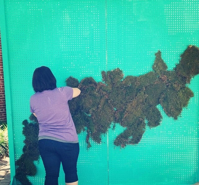 Fresh Flower Wall Installation Art All Night Trenton, NJ